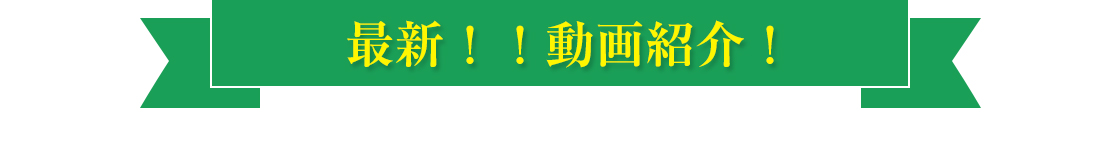 最新!!動画紹介!
