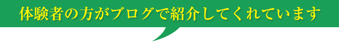 体験者の方がブログで紹介してくれています