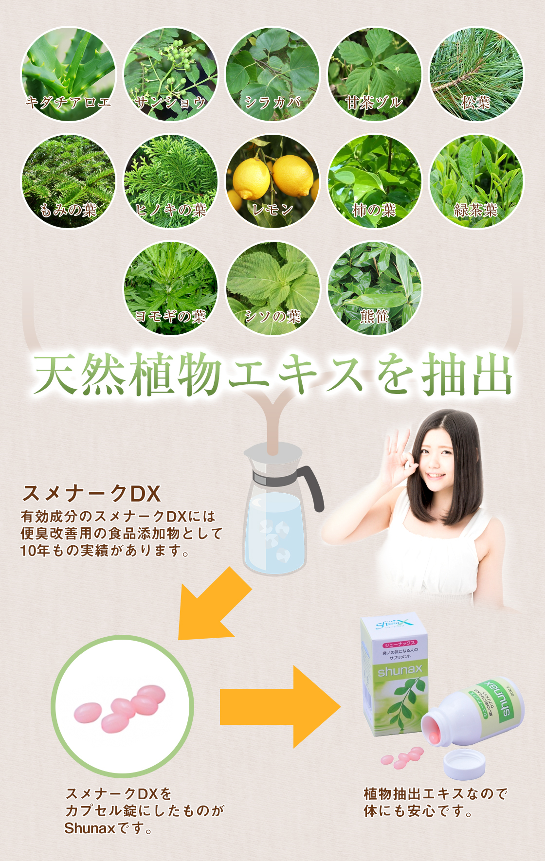 天然植物エキスを抽出